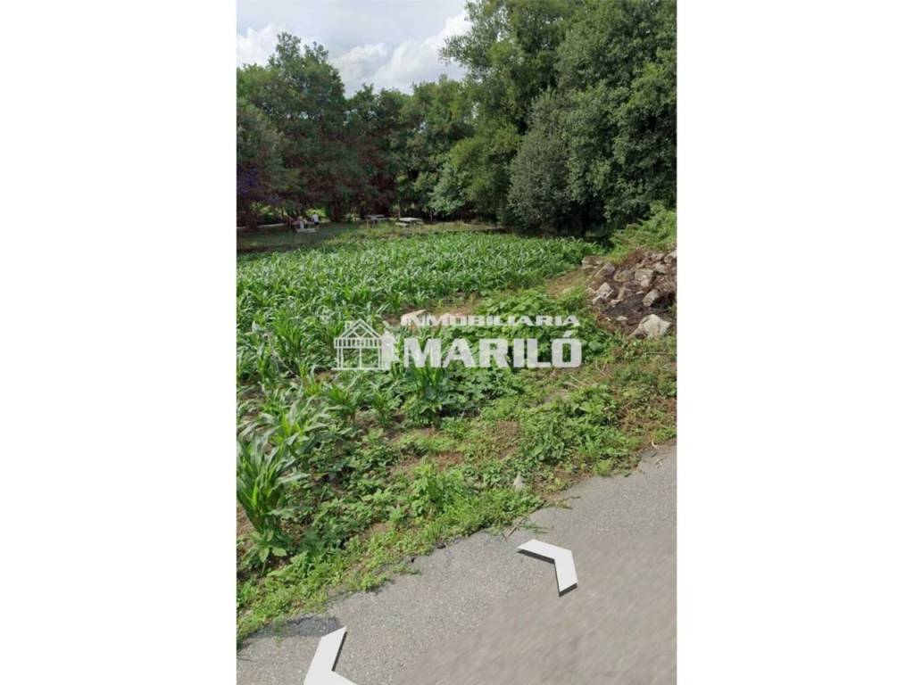 Jardín