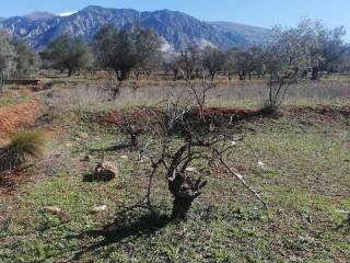 land