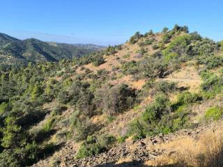 Vistas