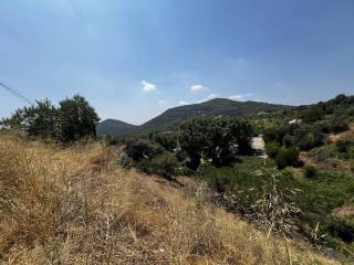 Vistas
