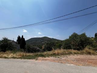 Vistas