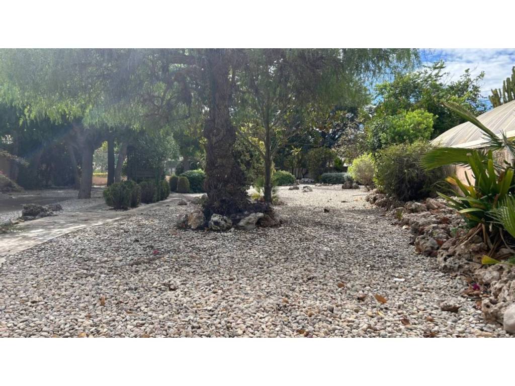 Jardín
