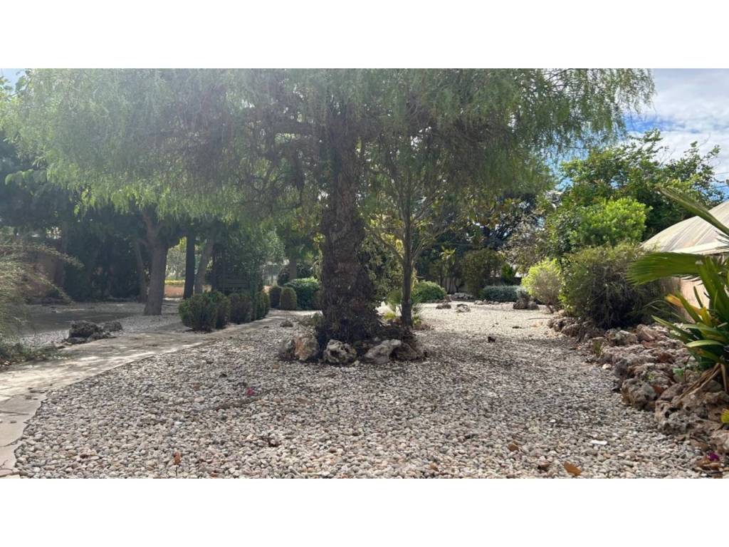 Jardín
