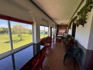 Comedor