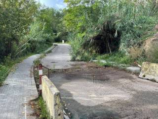 Jardín