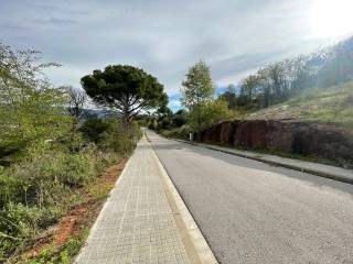 Vistas