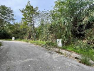 Jardín