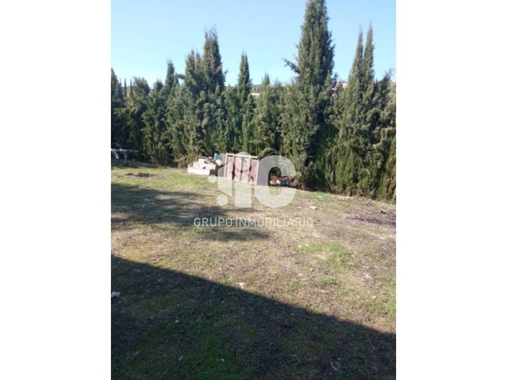 Jardín