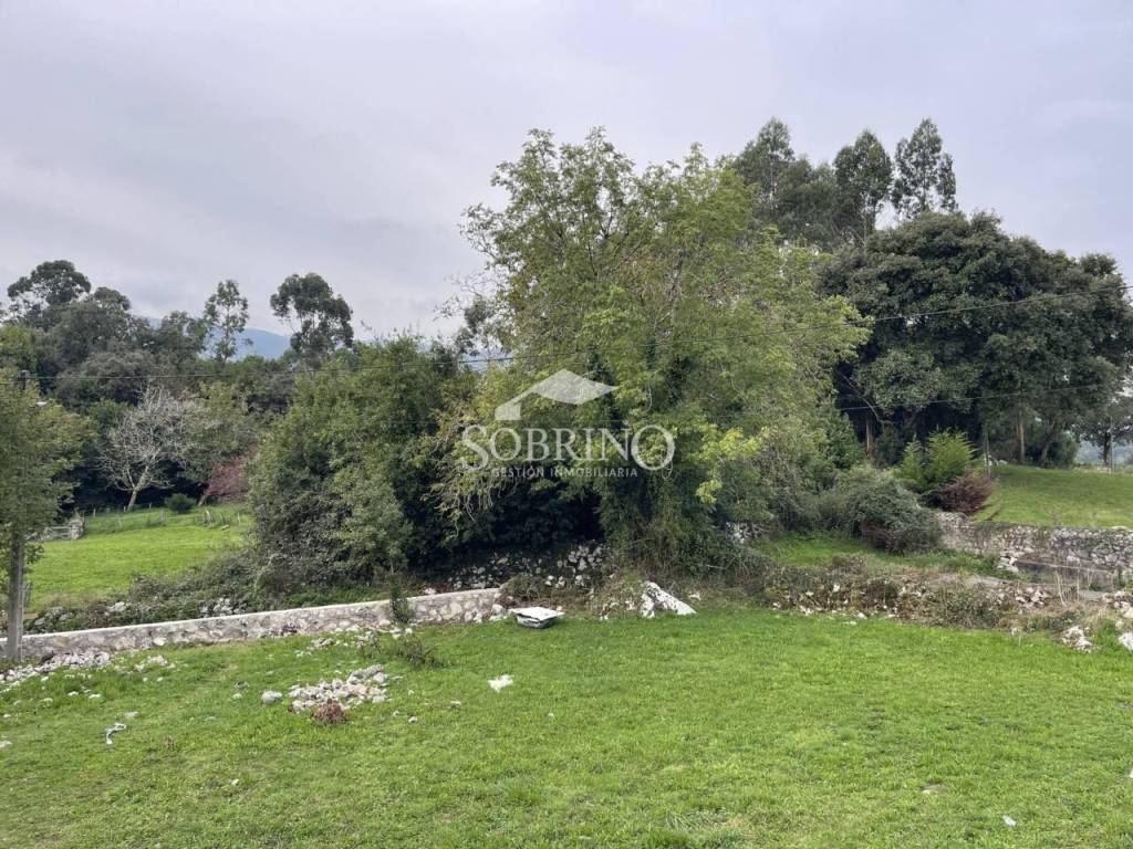 Jardín