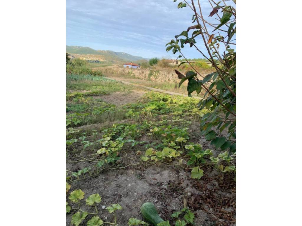 Jardín
