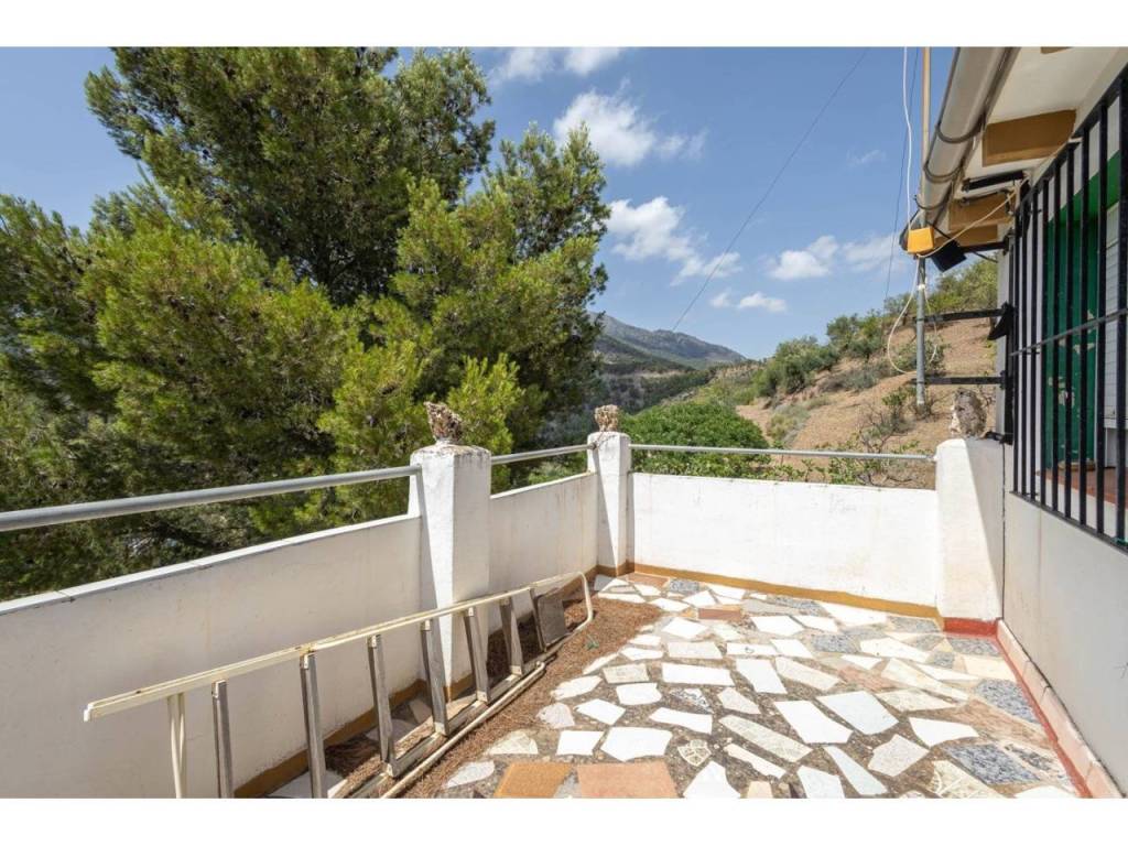 Terraza
