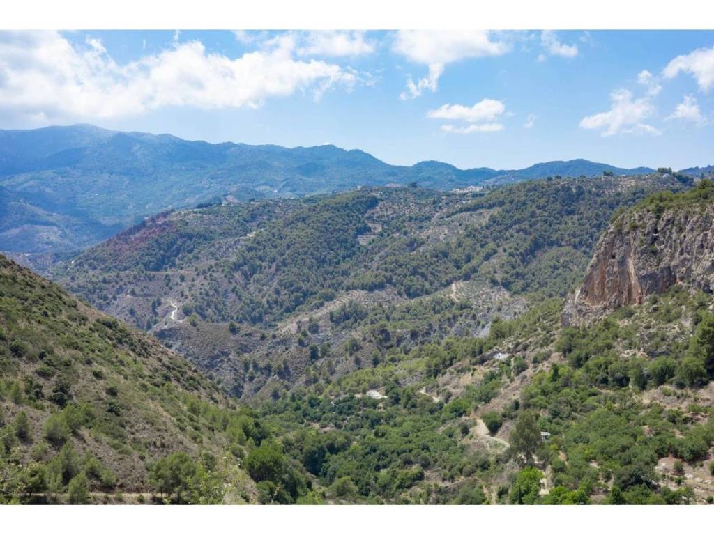Vistas