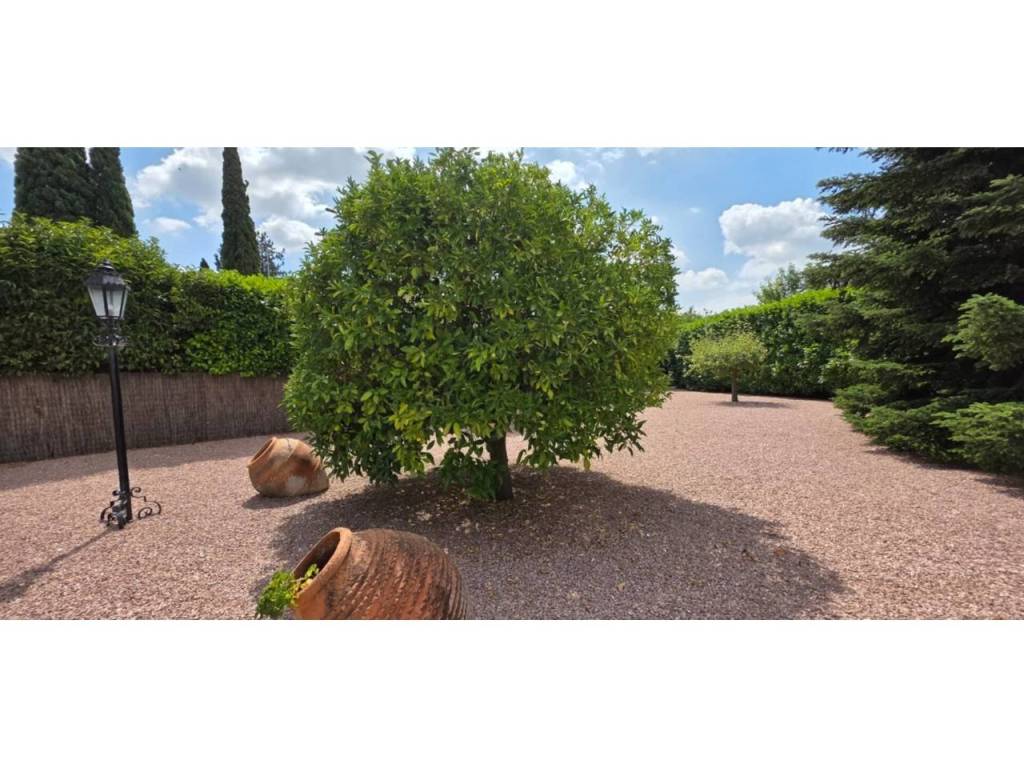 Jardín
