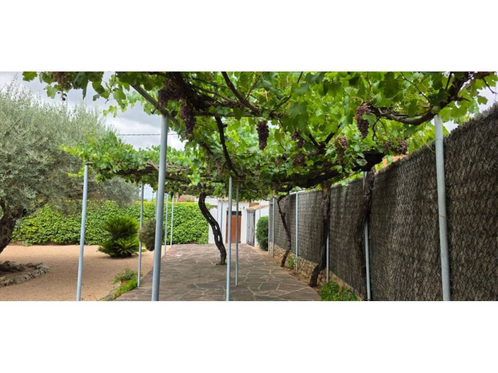 Jardín