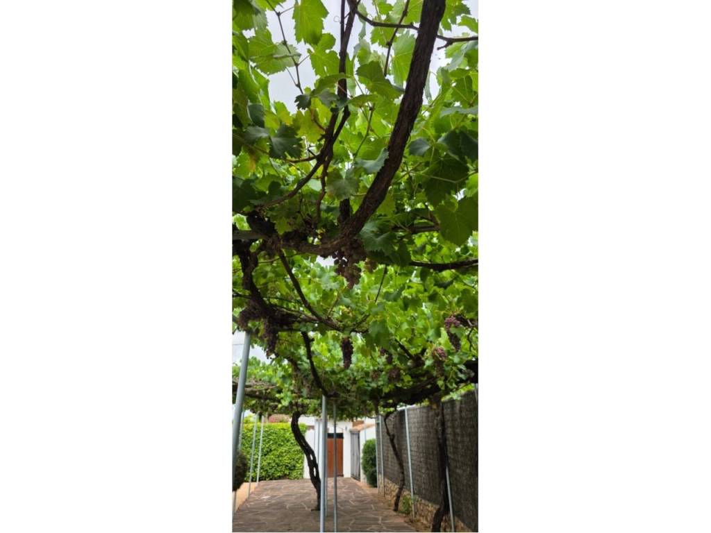 Jardín