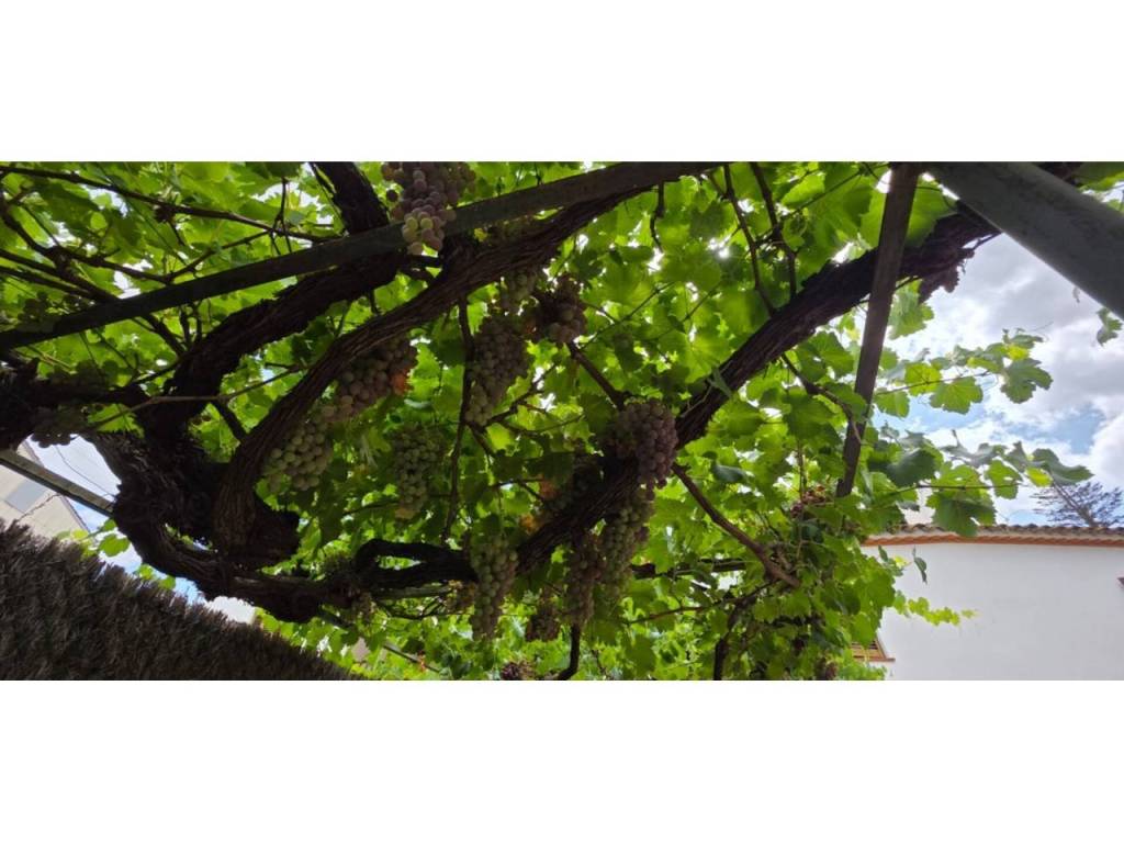 Jardín