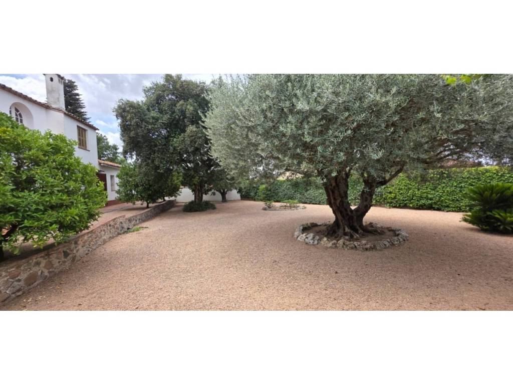Jardín