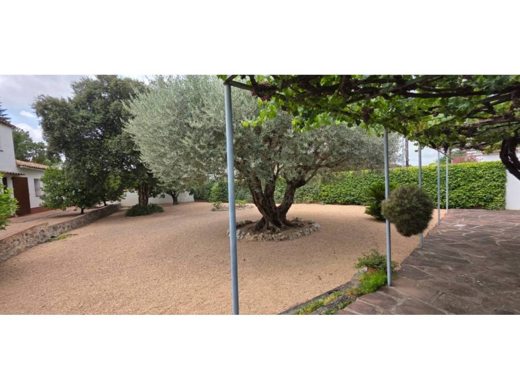 Jardín