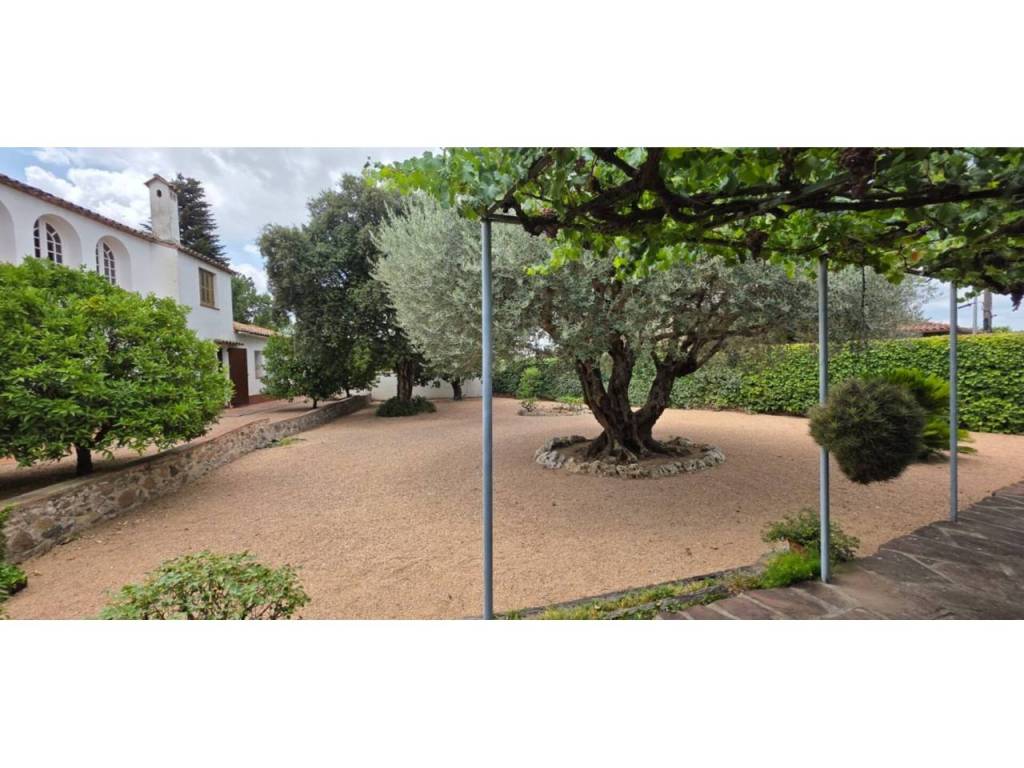 Jardín