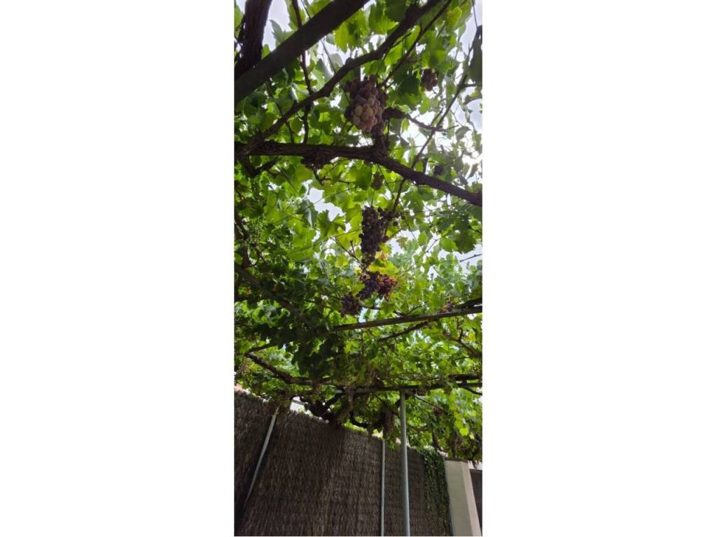 Jardín