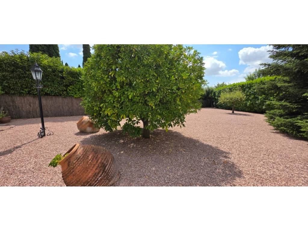 Jardín
