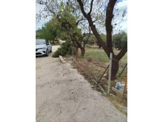 Jardín