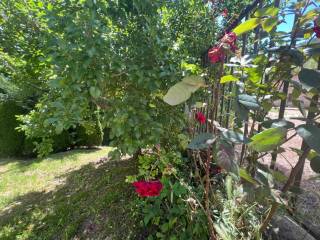 Jardín