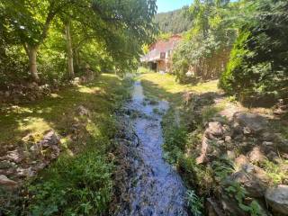 Jardín
