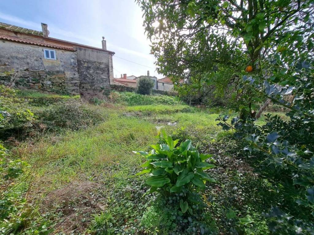 Jardín