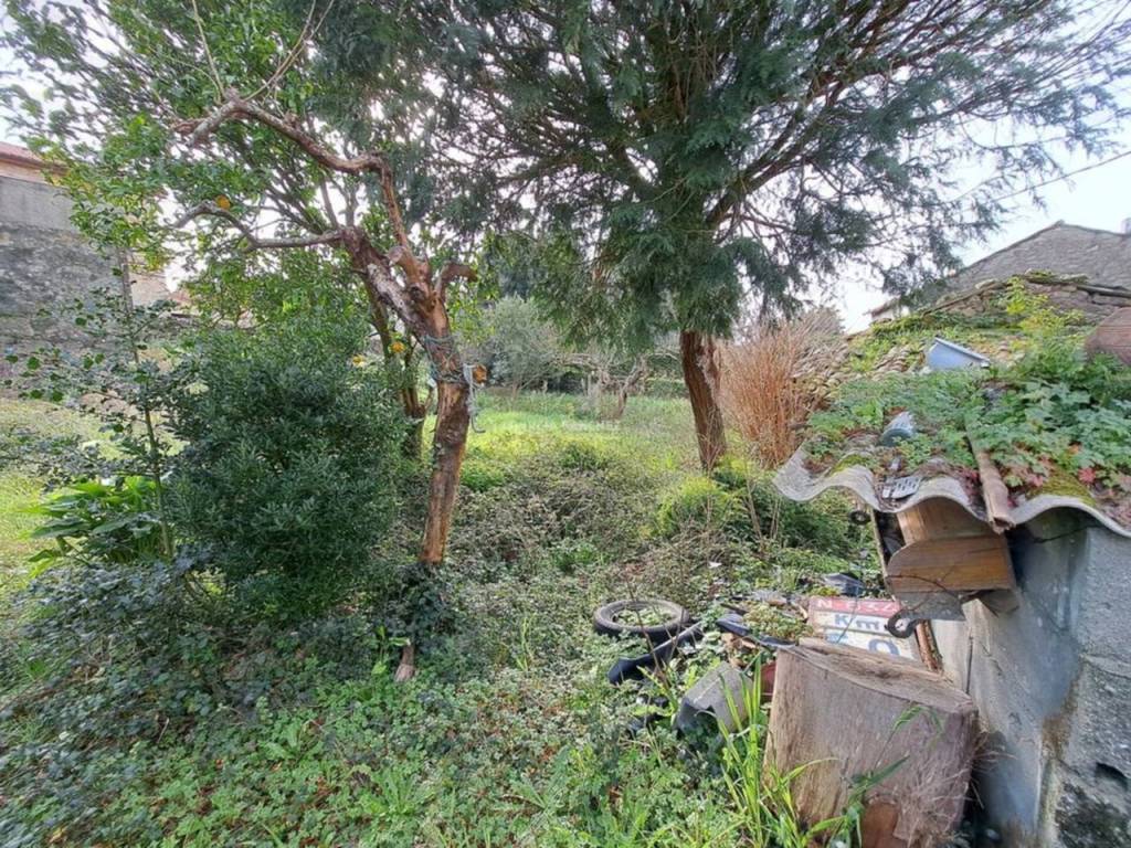 Jardín