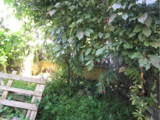 Jardín