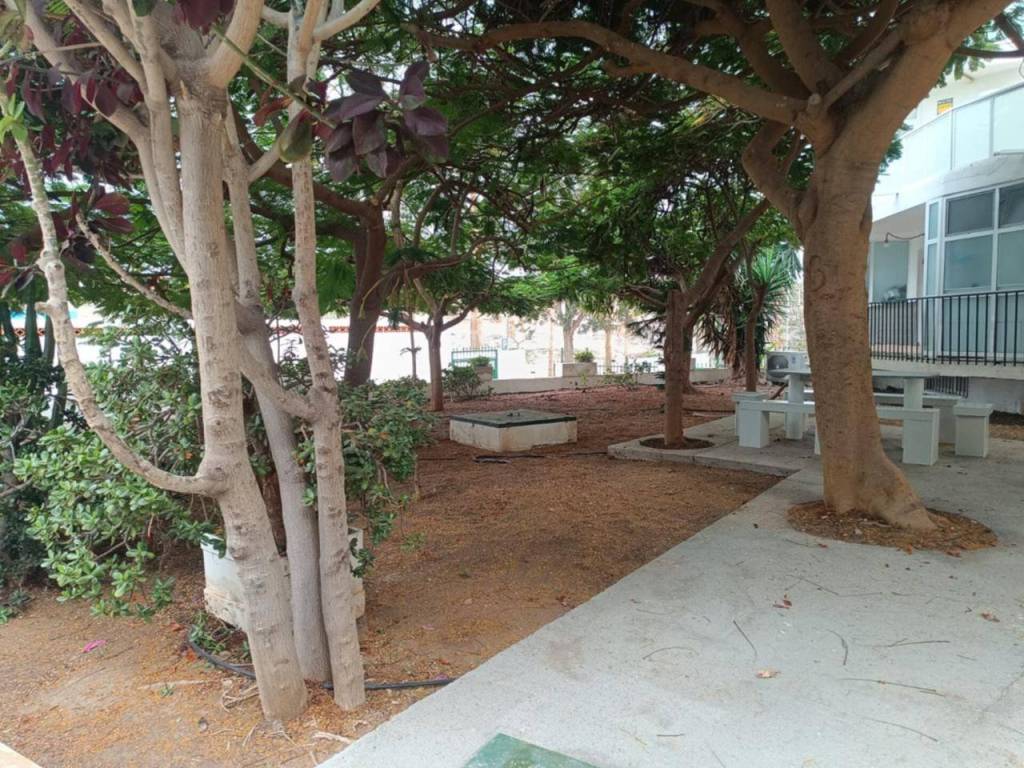 Jardín