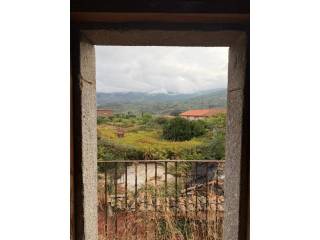 Vistas