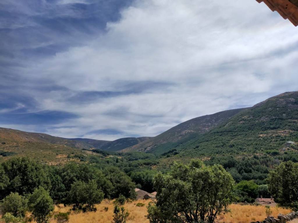 Vistas