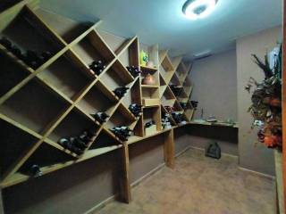 Bodega