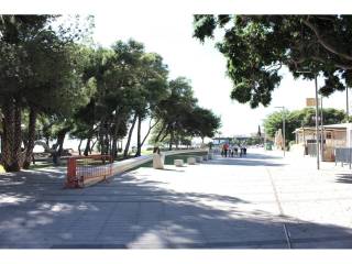 Vistas