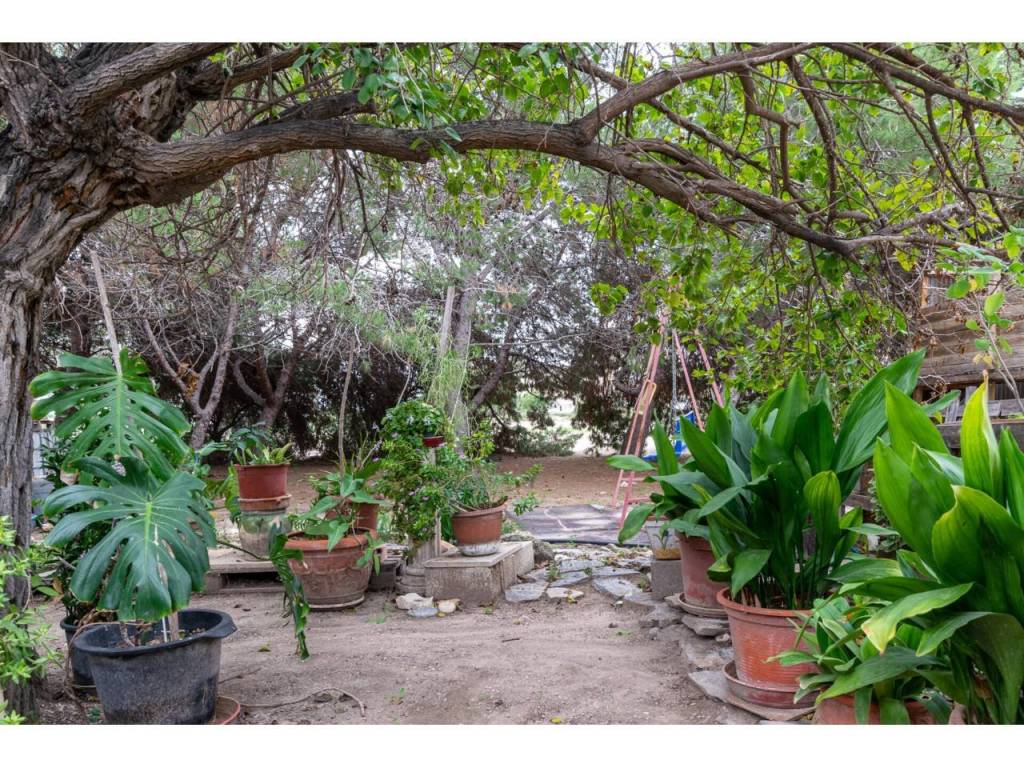 Jardín