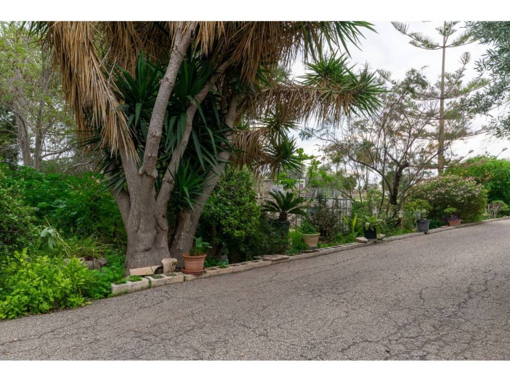Jardín