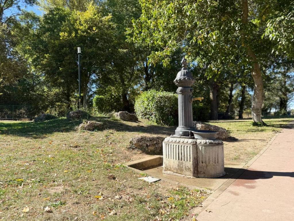 Jardín