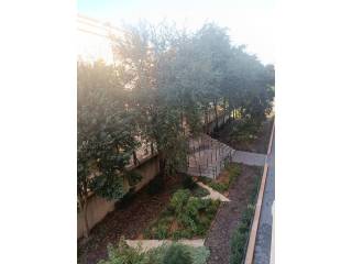 Vistas