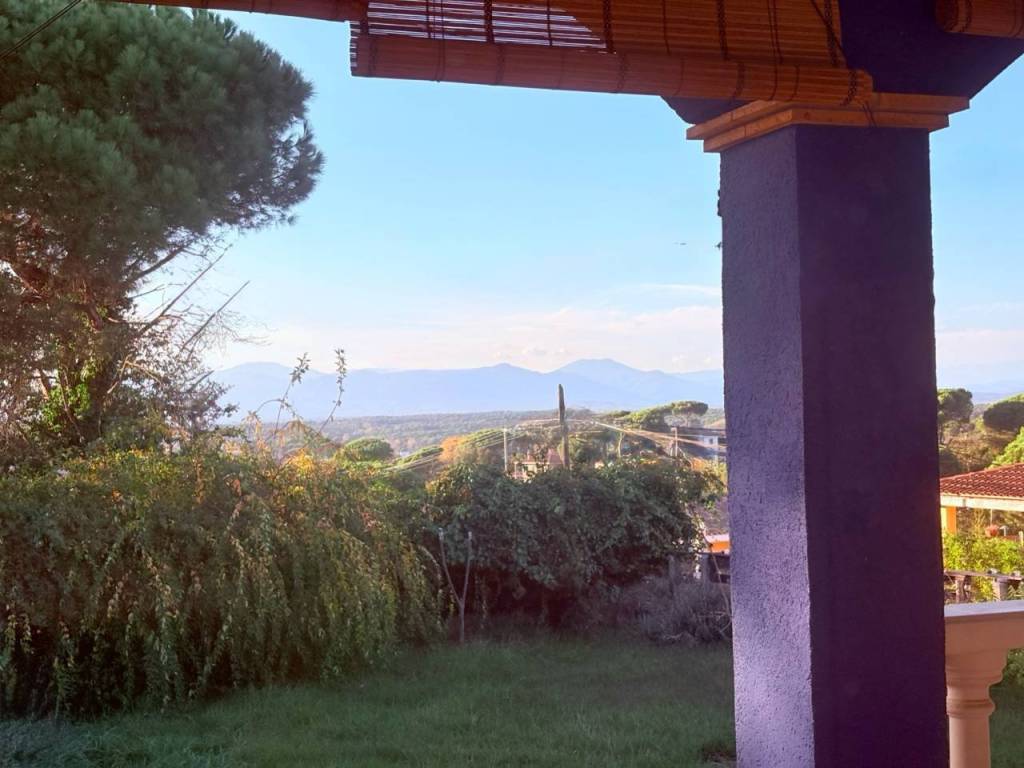 Jardín