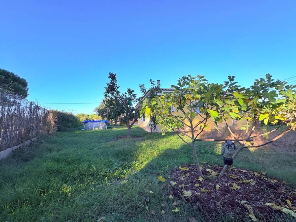 Jardín