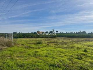 Vistas