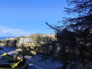 Vistas