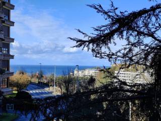 Vistas