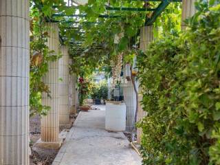 Jardín