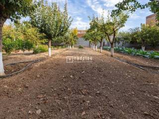 Jardín