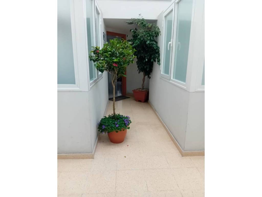 Entrada/Salida