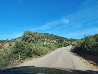 Vistas