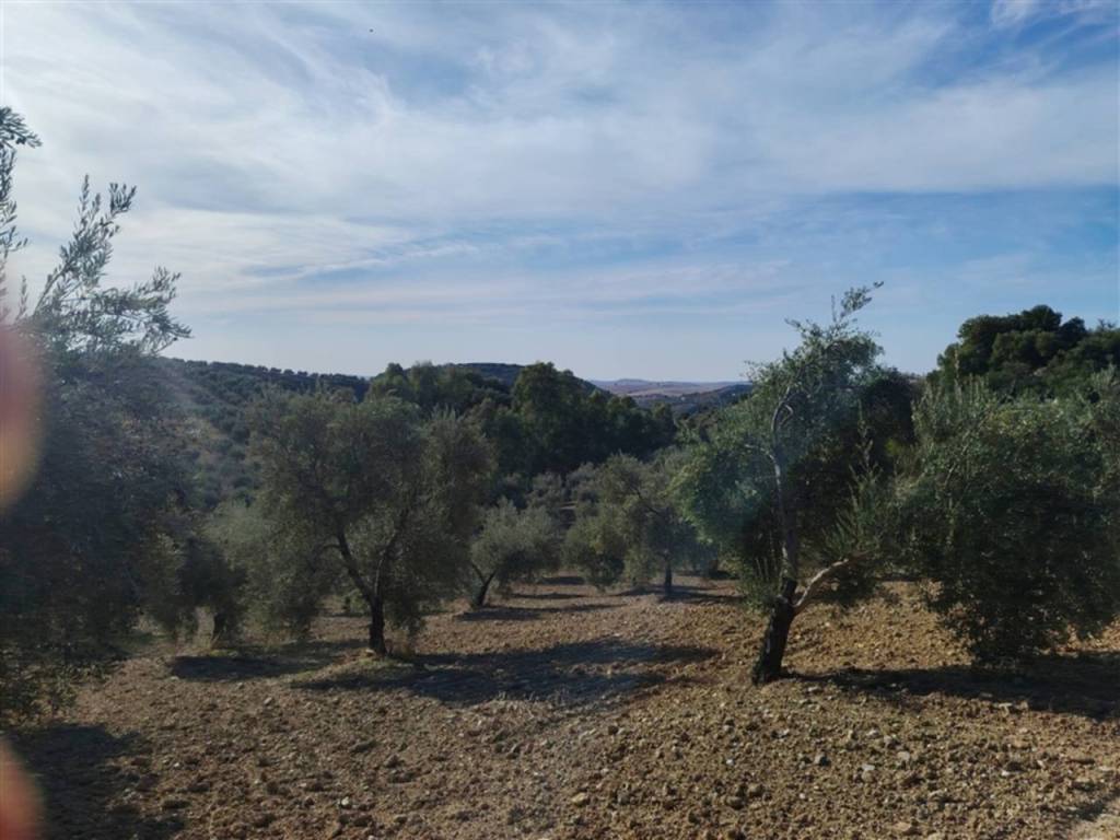 Vistas